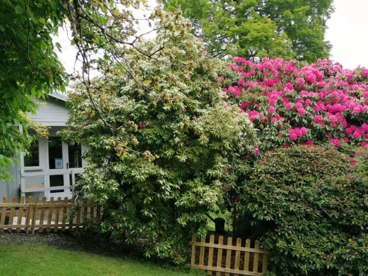 Treeside Woodhouse Hawkshead Exterior foto