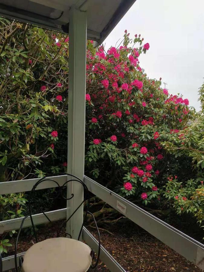 Treeside Woodhouse Hawkshead Exterior foto