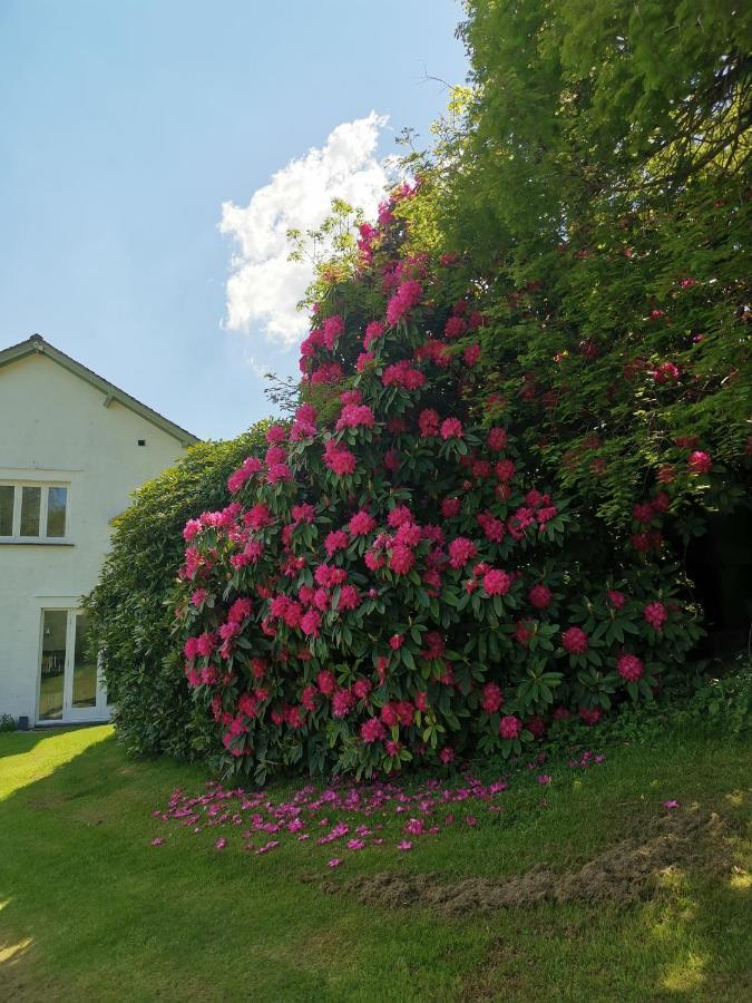 Treeside Woodhouse Hawkshead Exterior foto