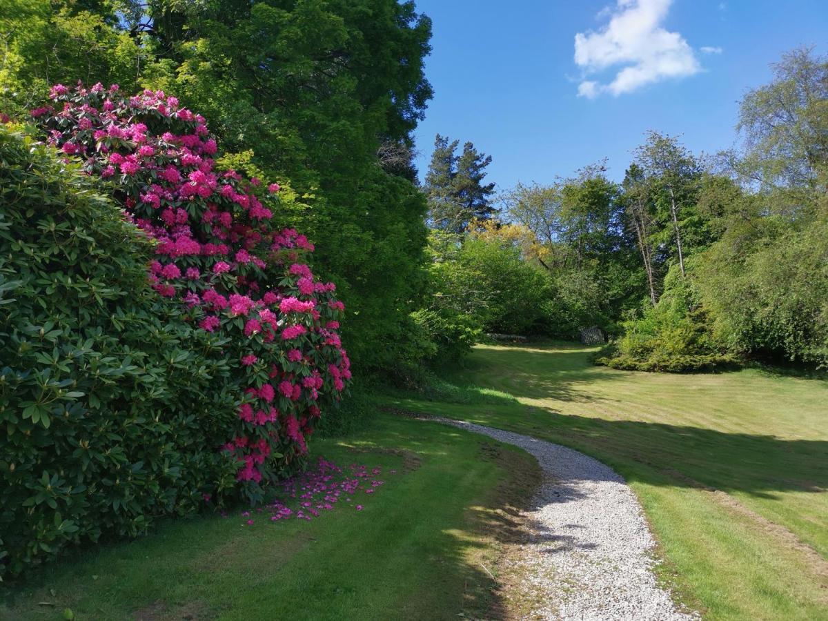 Treeside Woodhouse Hawkshead Exterior foto