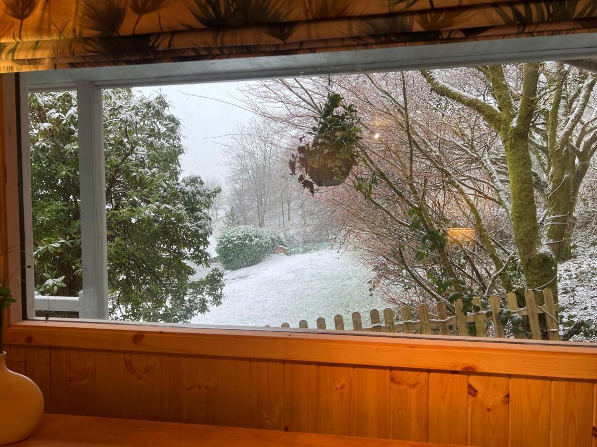 Treeside Woodhouse Hawkshead Exterior foto