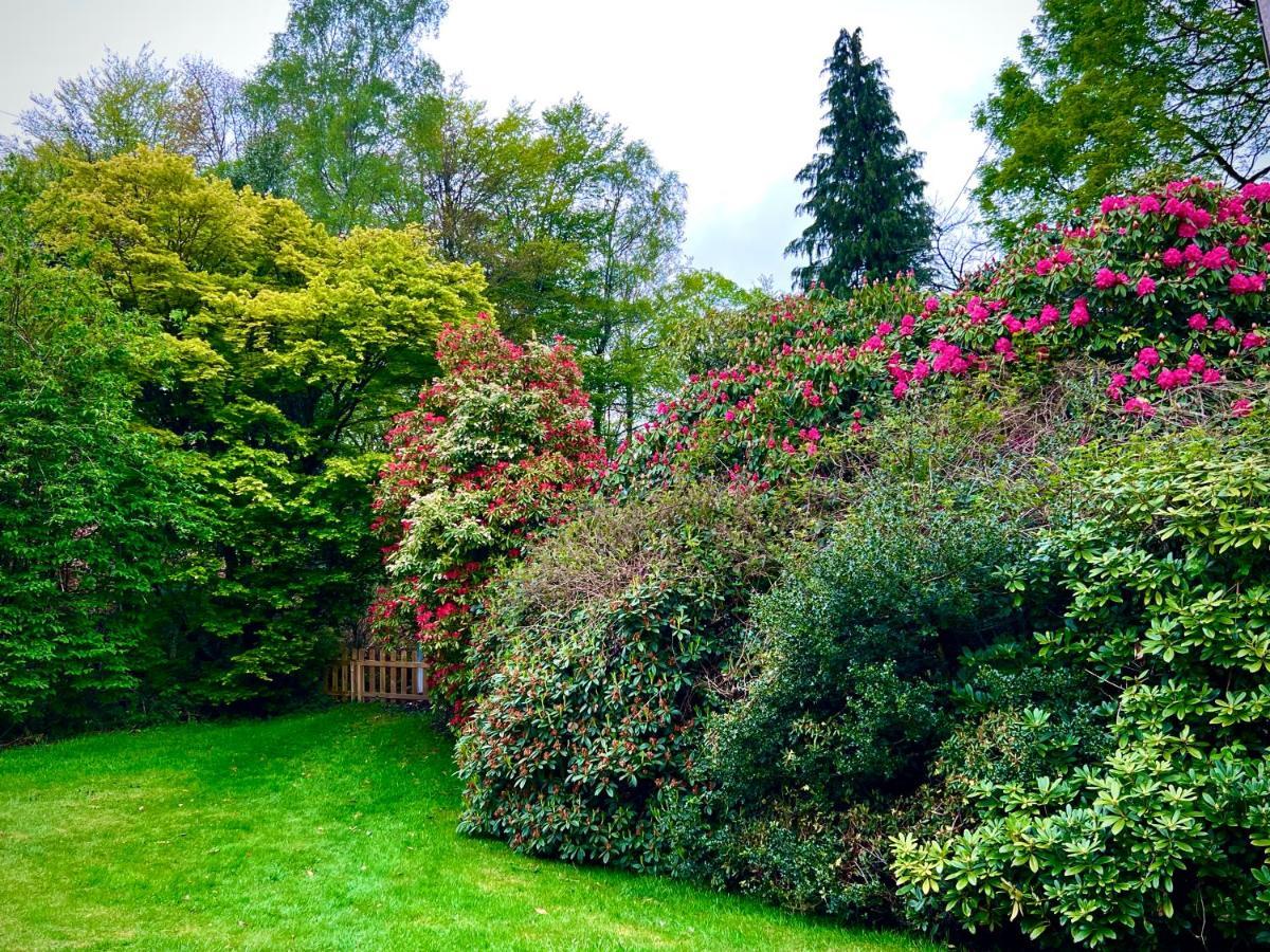 Treeside Woodhouse Hawkshead Exterior foto