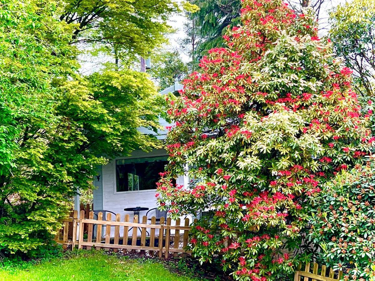 Treeside Woodhouse Hawkshead Exterior foto