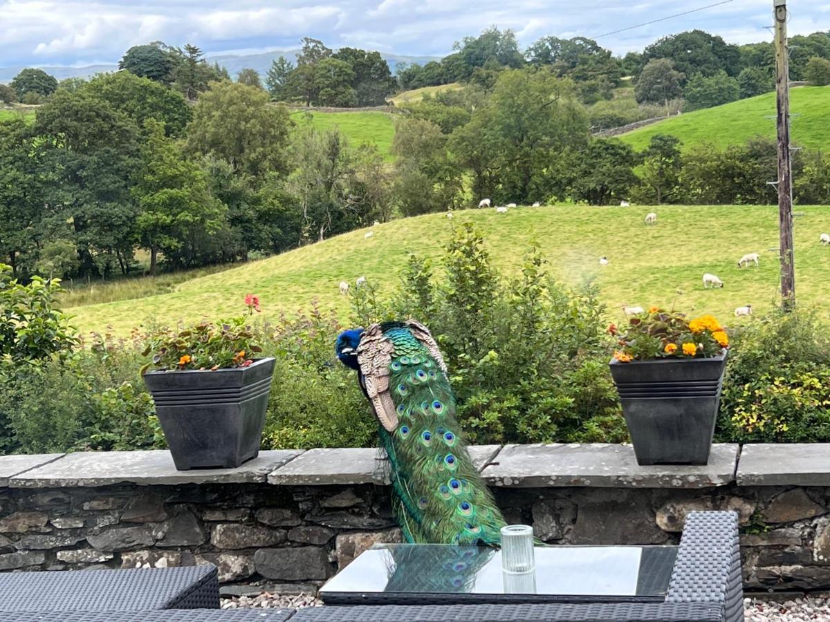 Treeside Woodhouse Hawkshead Exterior foto